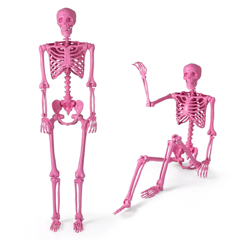 5.5-Foot Pink Poseable Skeleton – Life-Size Animated Halloween Prop with Articulated Joints